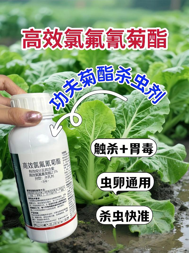 保定代生中心:农药对供卵代生妈妈的危害